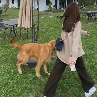 巨怪猎人第二季